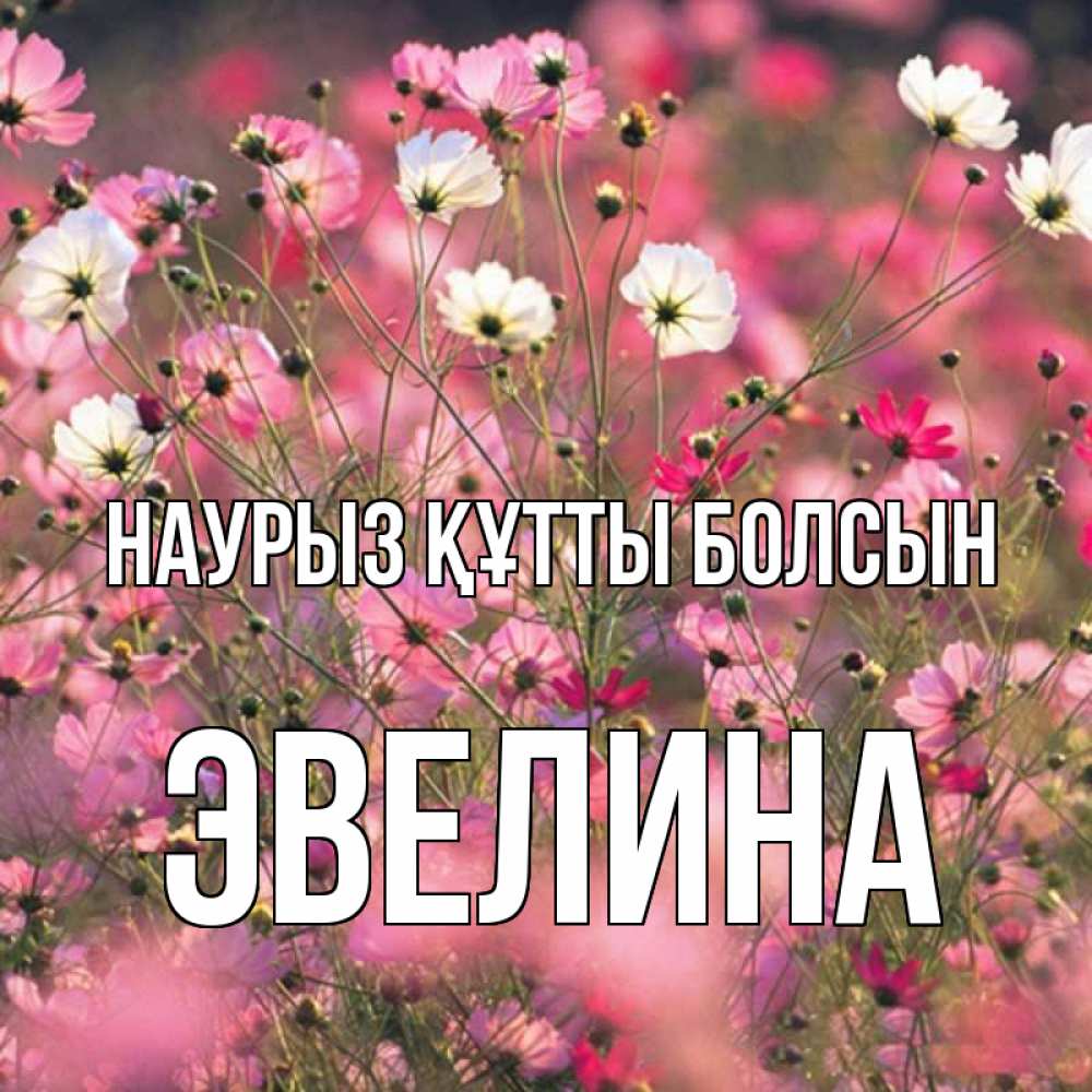 Открытка на каждый день с именем, Эвелина Наурыз құтты болсын красиво 1 Прикольная открытка с пожеланием онлайн скачать бесплатно 