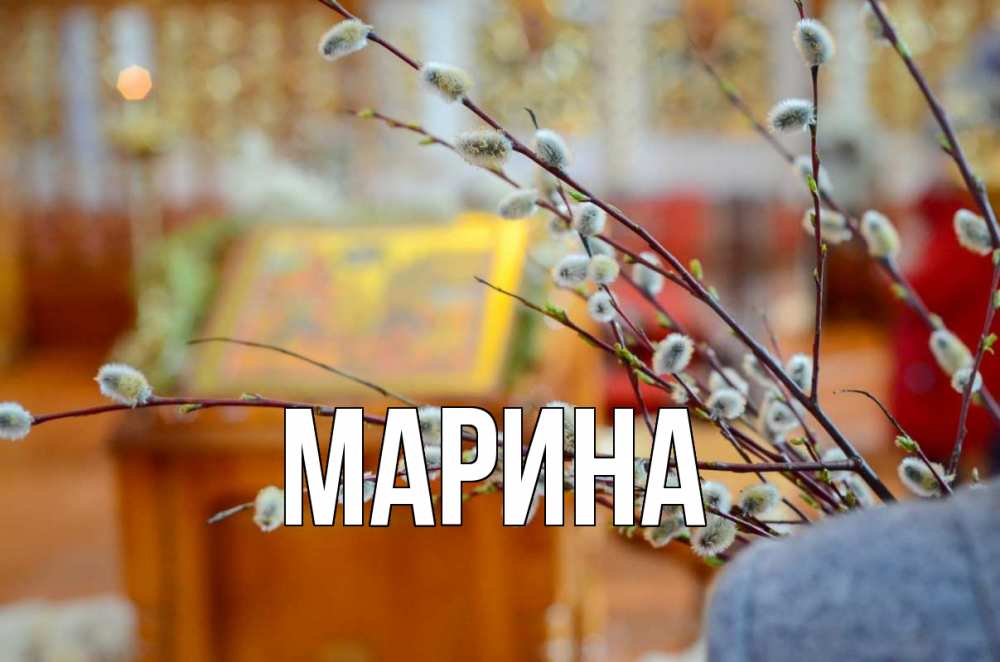 Открытка на каждый день с именем, Марина Главная верба Прикольная открытка с пожеланием онлайн скачать бесплатно 