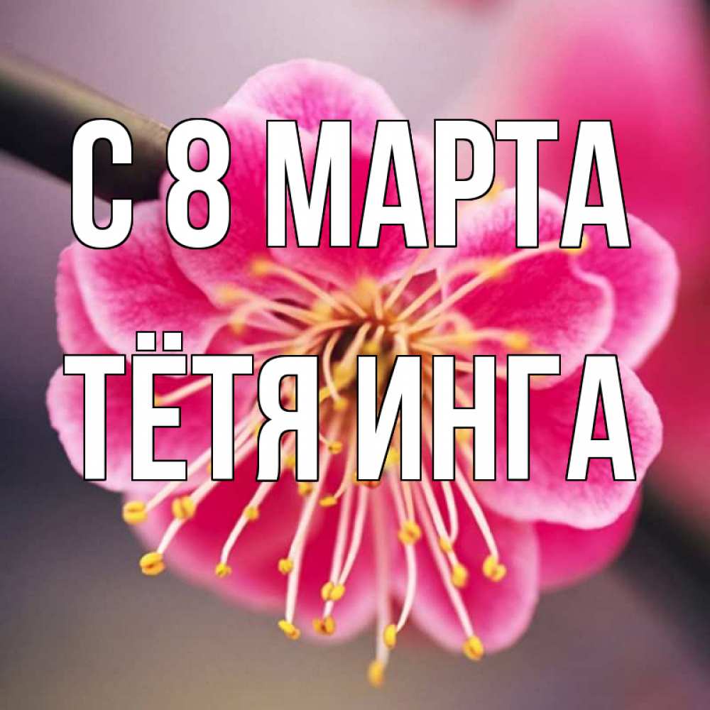 Открытка на каждый день с именем, Тётя-Инга С 8 марта цветы Прикольная открытка с пожеланием онлайн скачать бесплатно 
