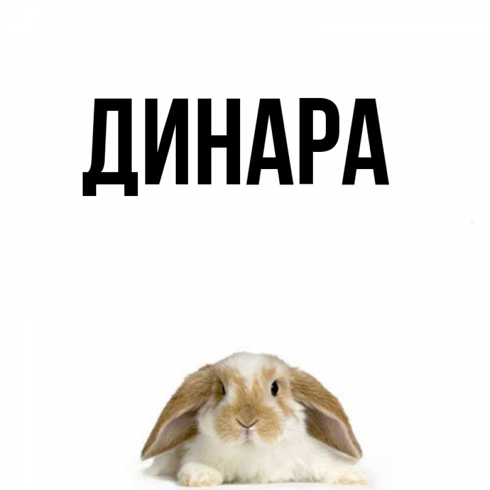 Открытка на каждый день с именем, Динара Главная подписать своими руками онлайн Прикольная открытка с пожеланием онлайн скачать бесплатно 