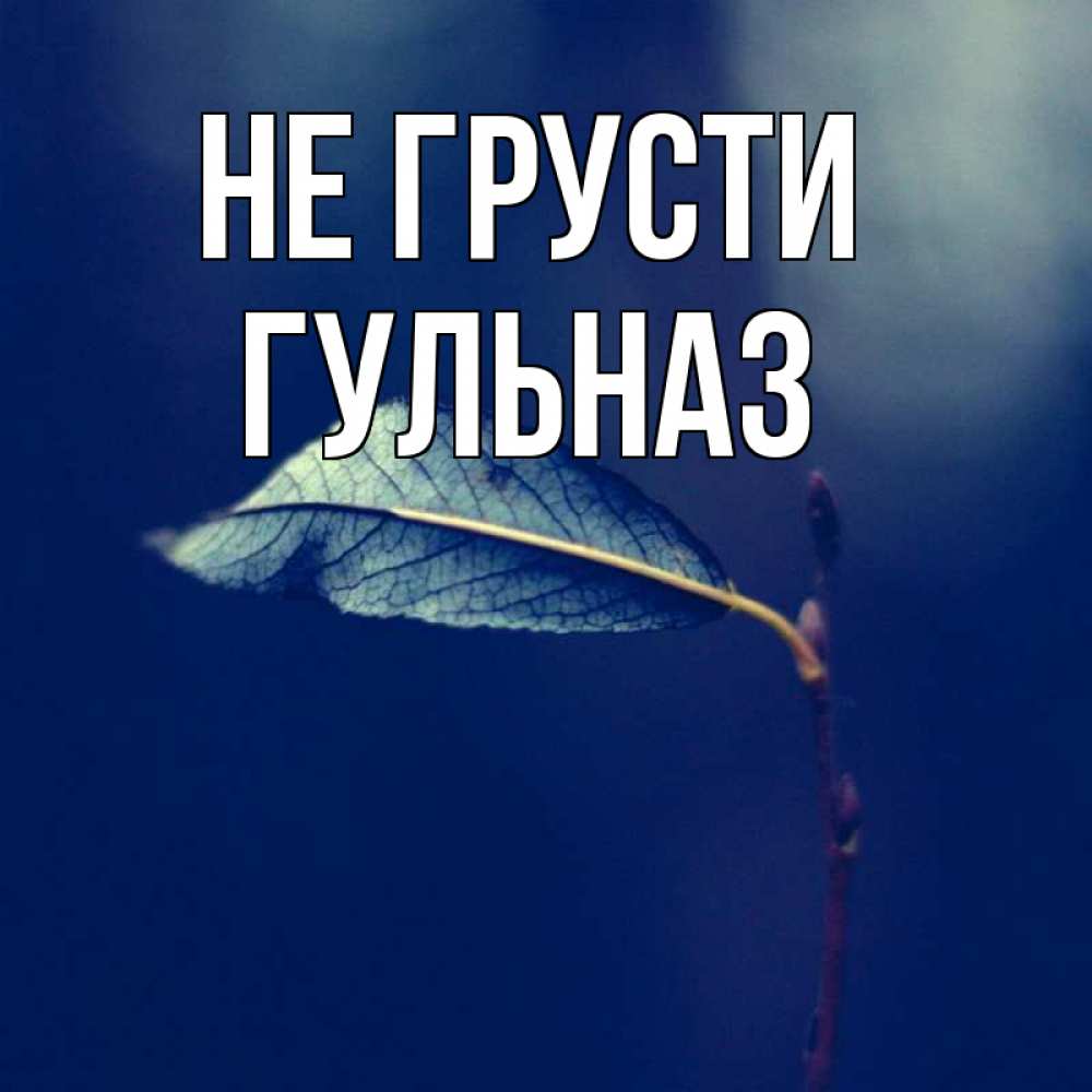 Открытка на каждый день с именем, Гульназ Не грусти растение Прикольная открытка с пожеланием онлайн скачать бесплатно 