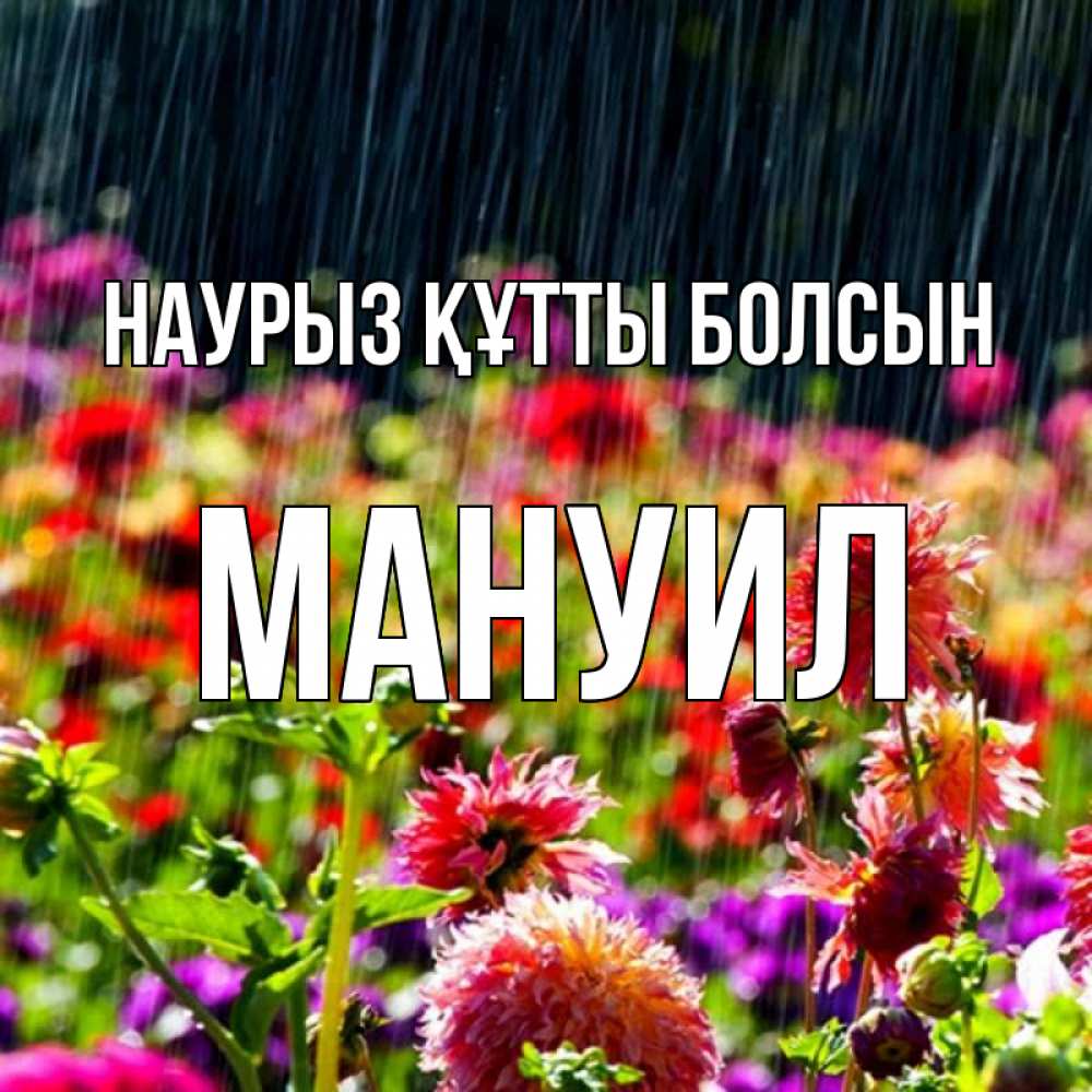 Открытка на каждый день с именем, Мануил Наурыз құтты болсын цветы под дождиком к наурызу Прикольная открытка с пожеланием онлайн скачать бесплатно 