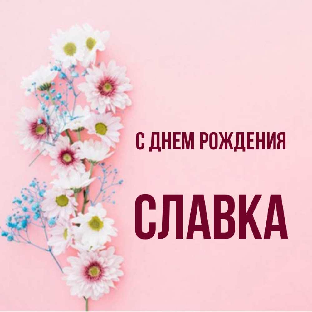 Славка с днем рождения картинки