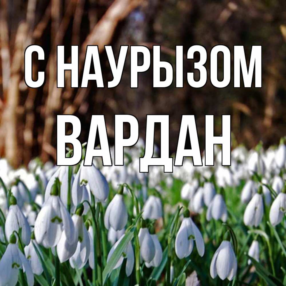 Открытка на каждый день с именем, Вардан С наурызом с подснежниками 1 Прикольная открытка с пожеланием онлайн скачать бесплатно 