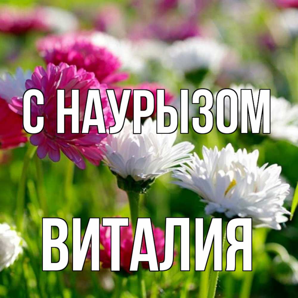 Открытка на каждый день с именем, Виталия С наурызом праздник весны наурыз красота Прикольная открытка с пожеланием онлайн скачать бесплатно 