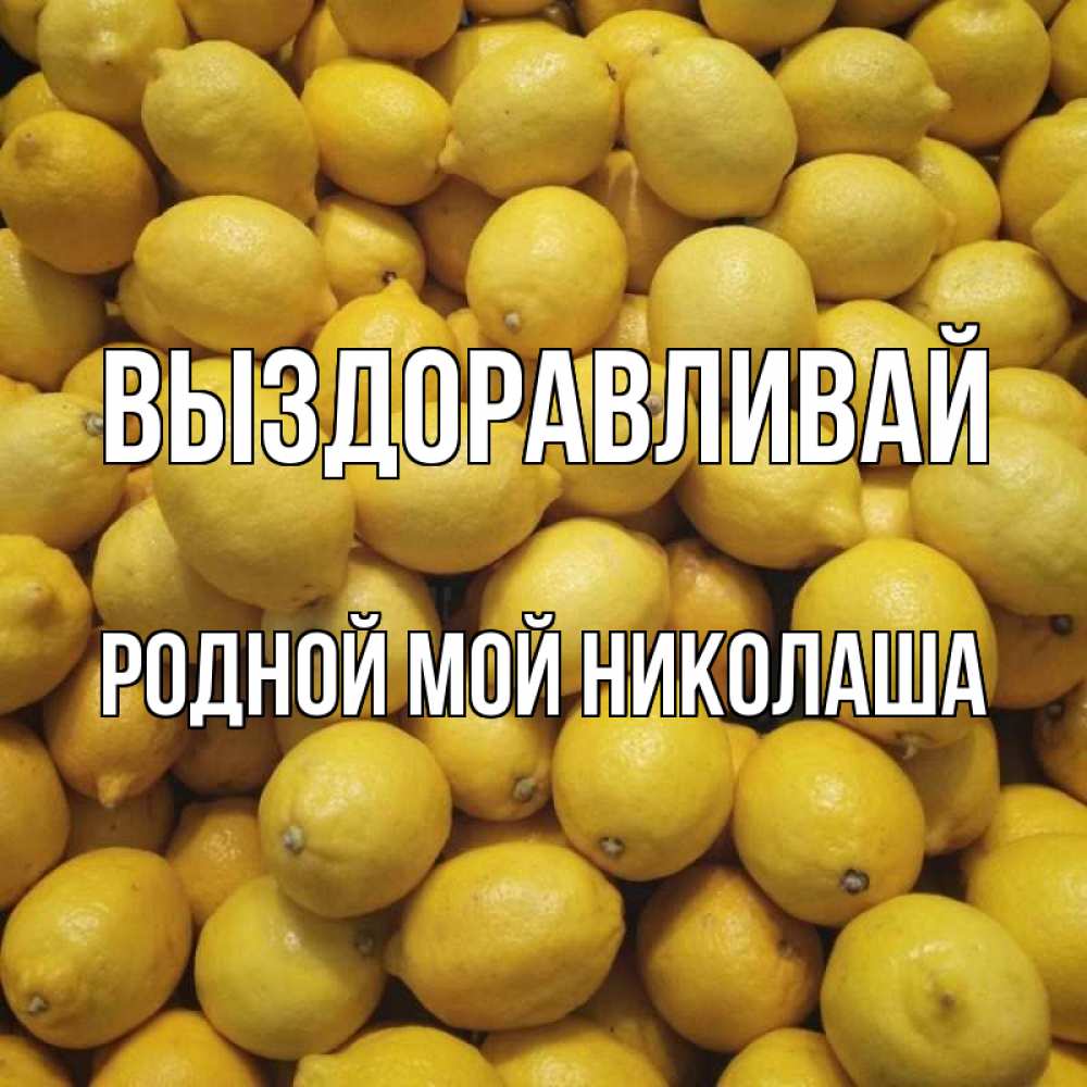 Николаша