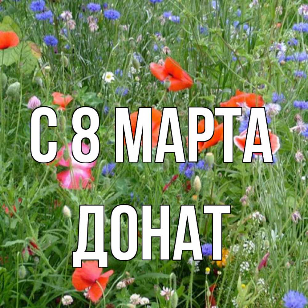 Открытка на каждый день с именем, Донат С 8 МАРТА международный женский день 4 Прикольная открытка с пожеланием онлайн скачать бесплатно 
