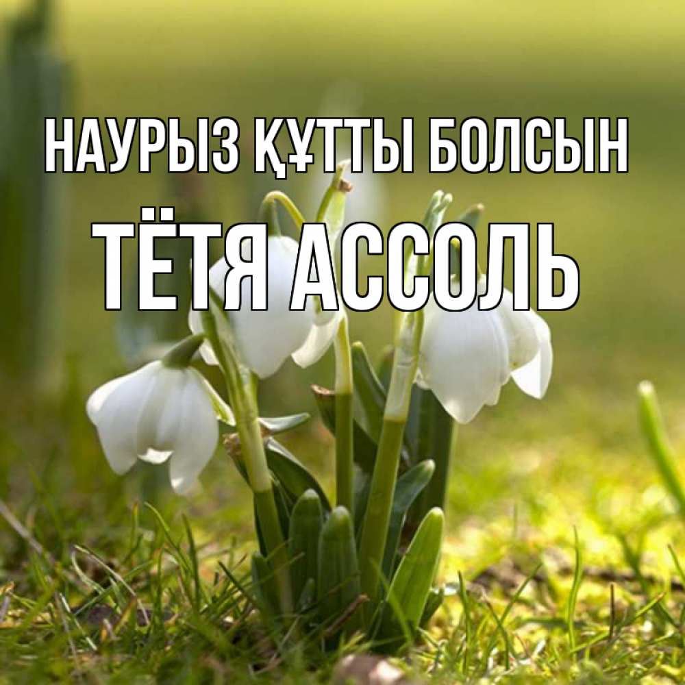 Открытка на каждый день с именем, Тётя-Ассоль Наурыз құтты болсын ранние цветы 2 Прикольная открытка с пожеланием онлайн скачать бесплатно 