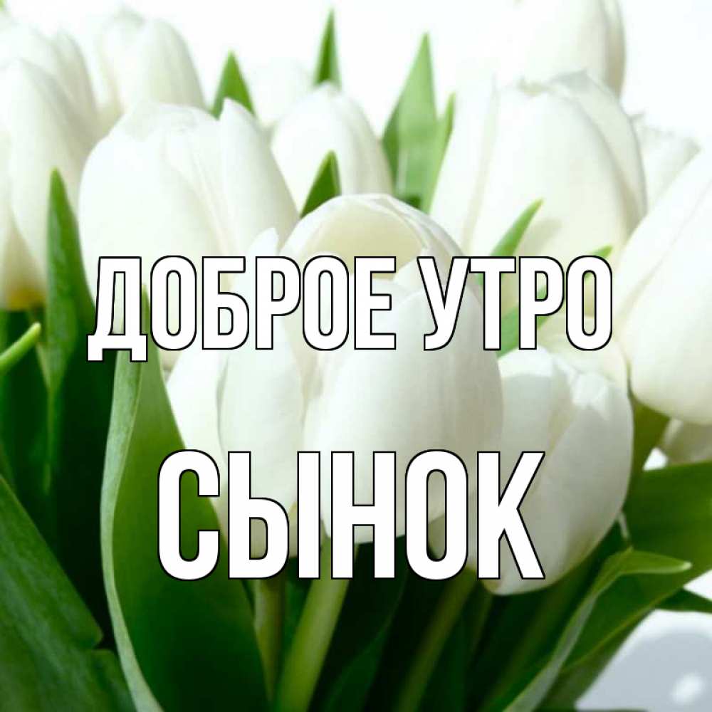 Доброе утро анечка картинки
