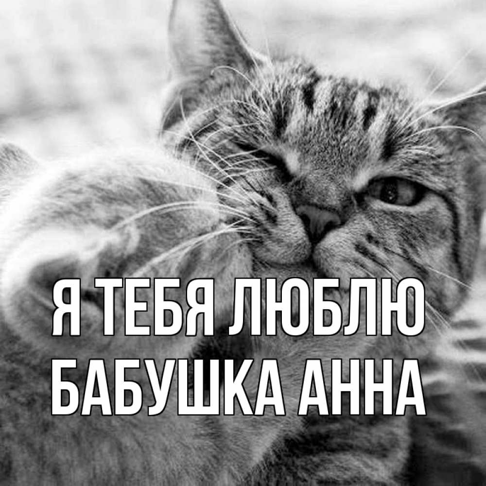 Открытка на каждый день с именем, Бабушка-Анна Я тебя люблю коты Прикольная открытка с пожеланием онлайн скачать бесплатно 