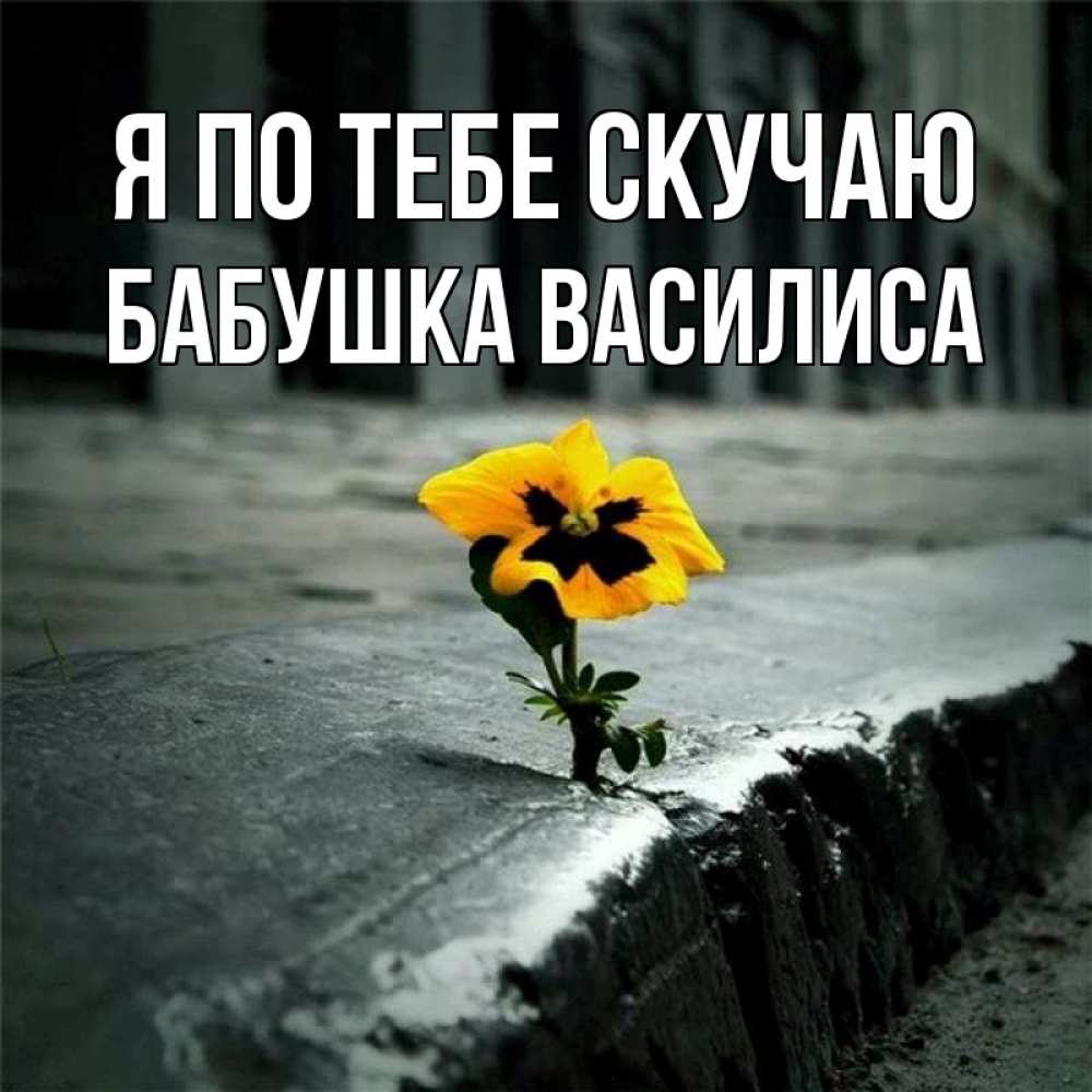 Открытка на каждый день с именем, Бабушка-Василиса Я по тебе скучаю надеюсь будет лучше Прикольная открытка с пожеланием онлайн скачать бесплатно 