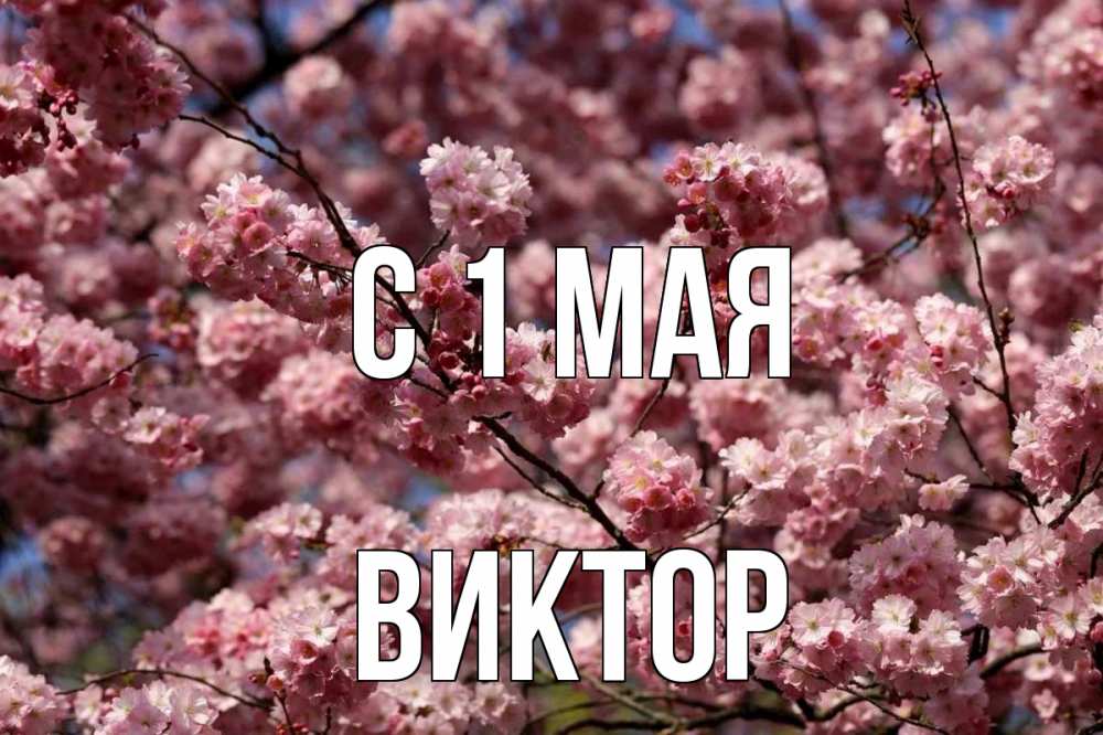 Открытка на каждый день с именем, Виктор С 1 мая С 1 мая Прикольная открытка с пожеланием онлайн скачать бесплатно 