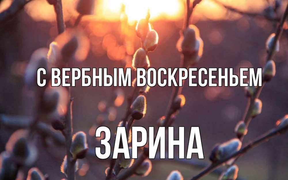 Открытка на каждый день с именем, Зарина С вербным воскресеньем верба Прикольная открытка с пожеланием онлайн скачать бесплатно 