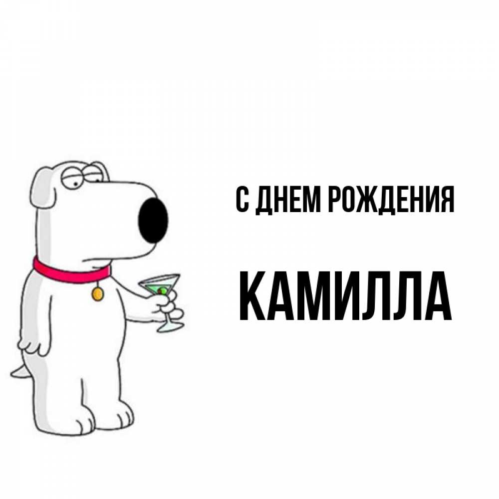 Открытка на каждый день с именем, Камилла С днем рождения песик с оливками Прикольная открытка с пожеланием онлайн скачать бесплатно 