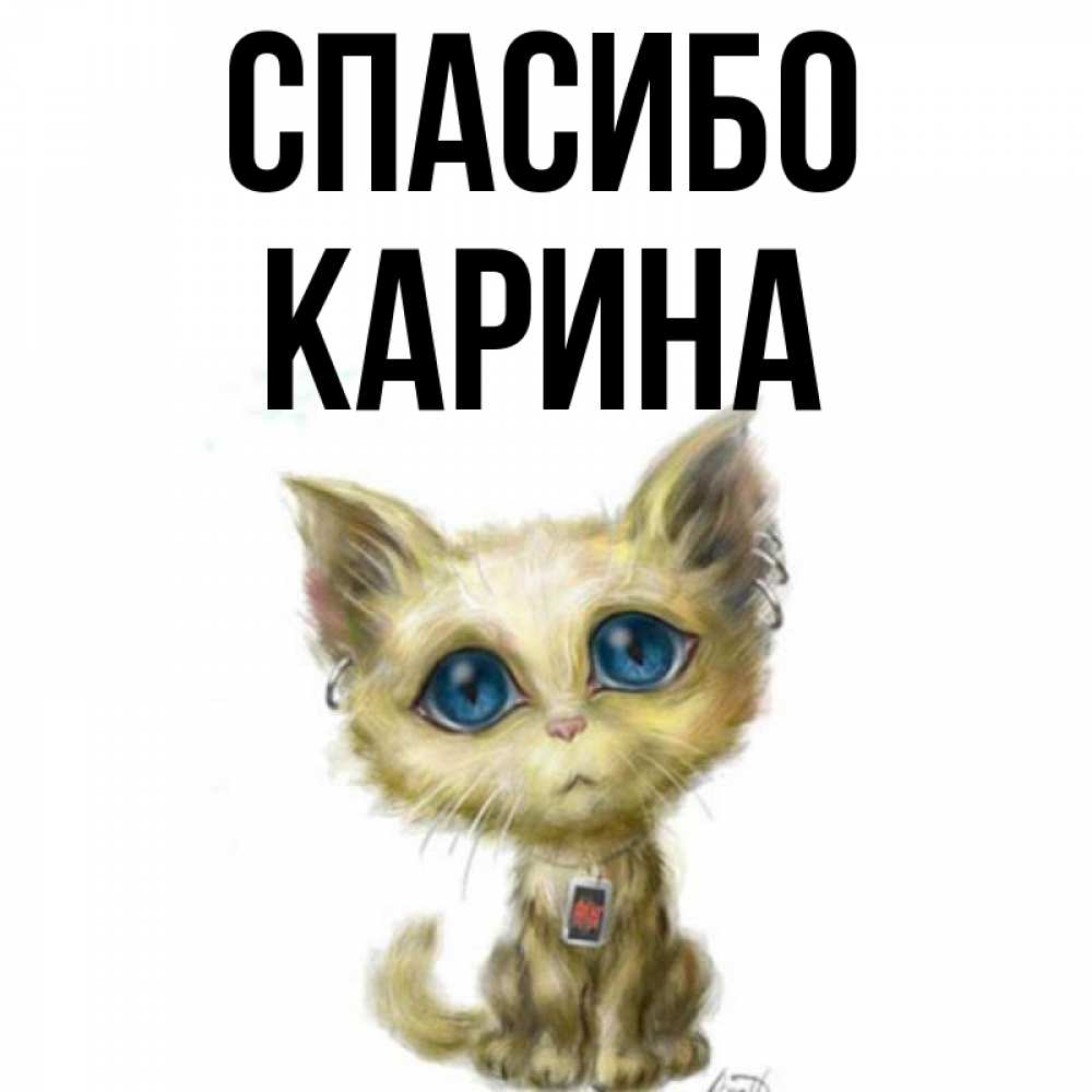 Открытка на каждый день с именем, Карина Спасибо рисованный кот благодарит вас Прикольная открытка с пожеланием онлайн скачать бесплатно 
