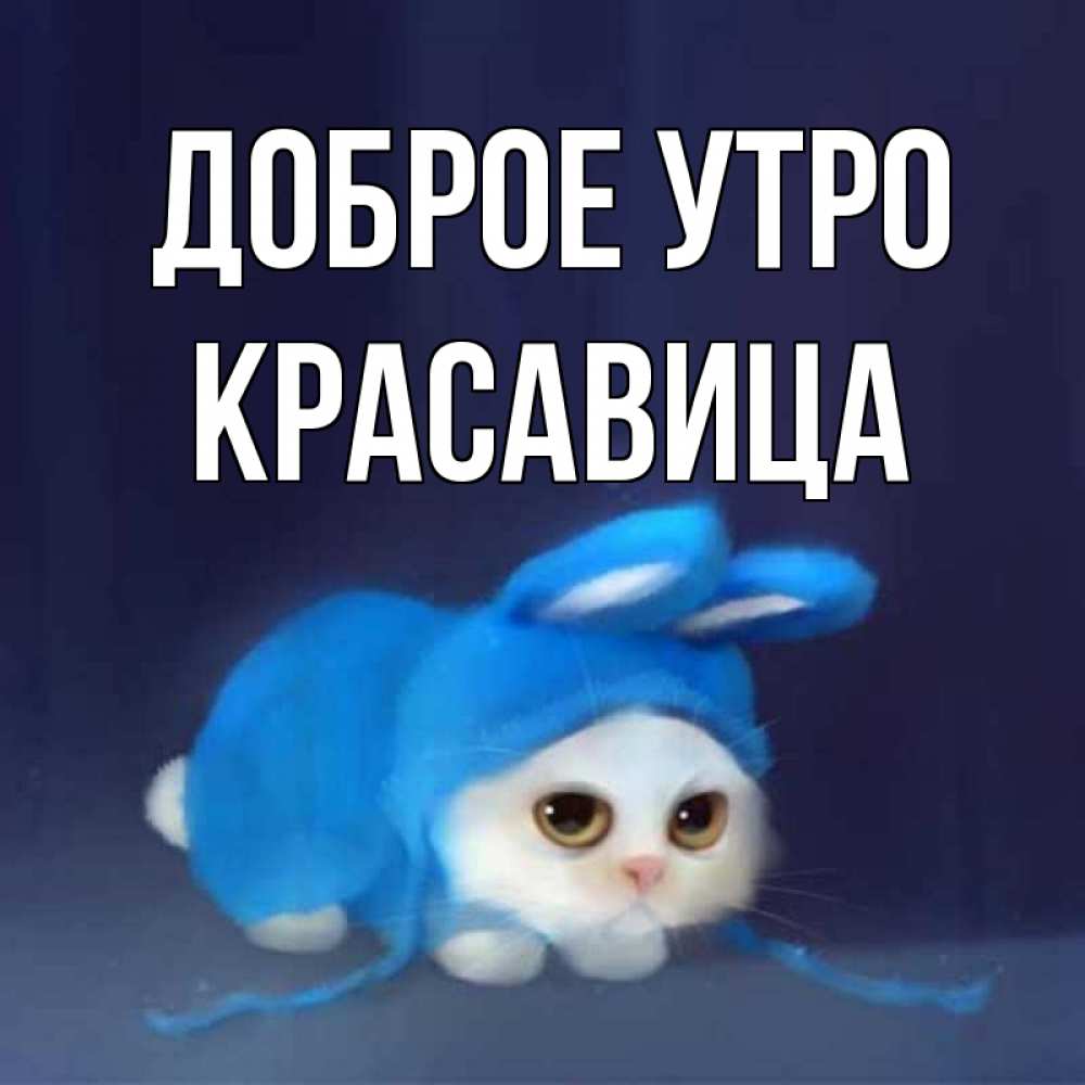 Открытка на каждый день с именем, Красавица Доброе утро открытки красивые скачать бесплатно Прикольная открытка с пожеланием онлайн скачать бесплатно 