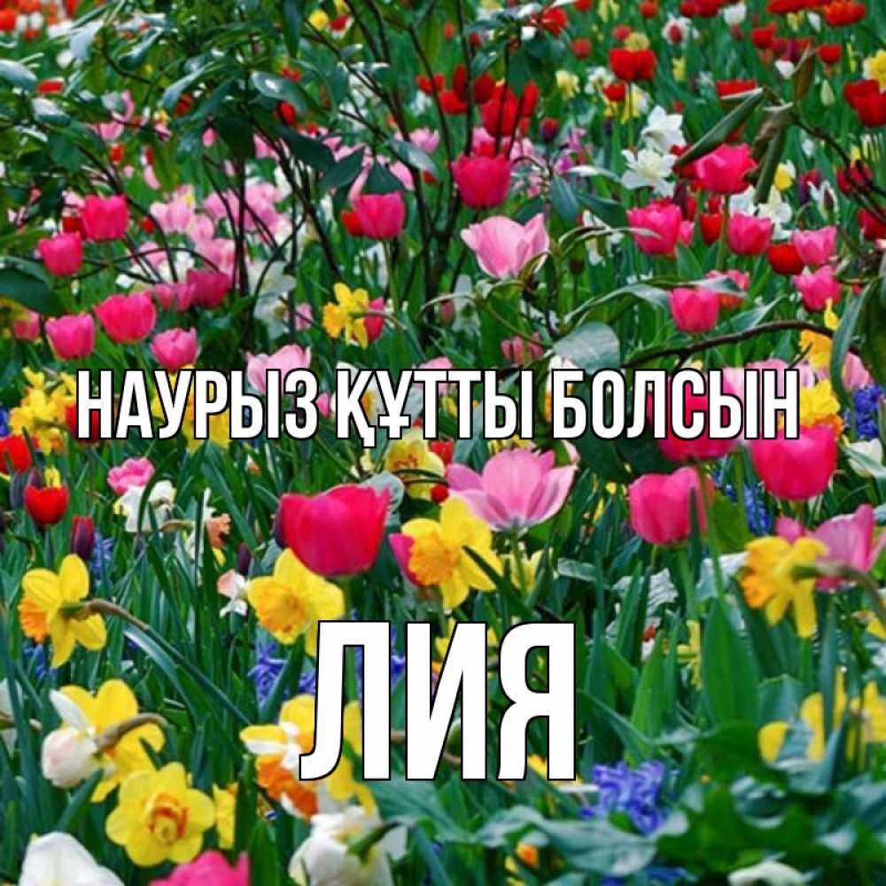 Открытка на каждый день с именем, Лия Наурыз құтты болсын с наурызом поздравления для женщины Прикольная открытка с пожеланием онлайн скачать бесплатно 
