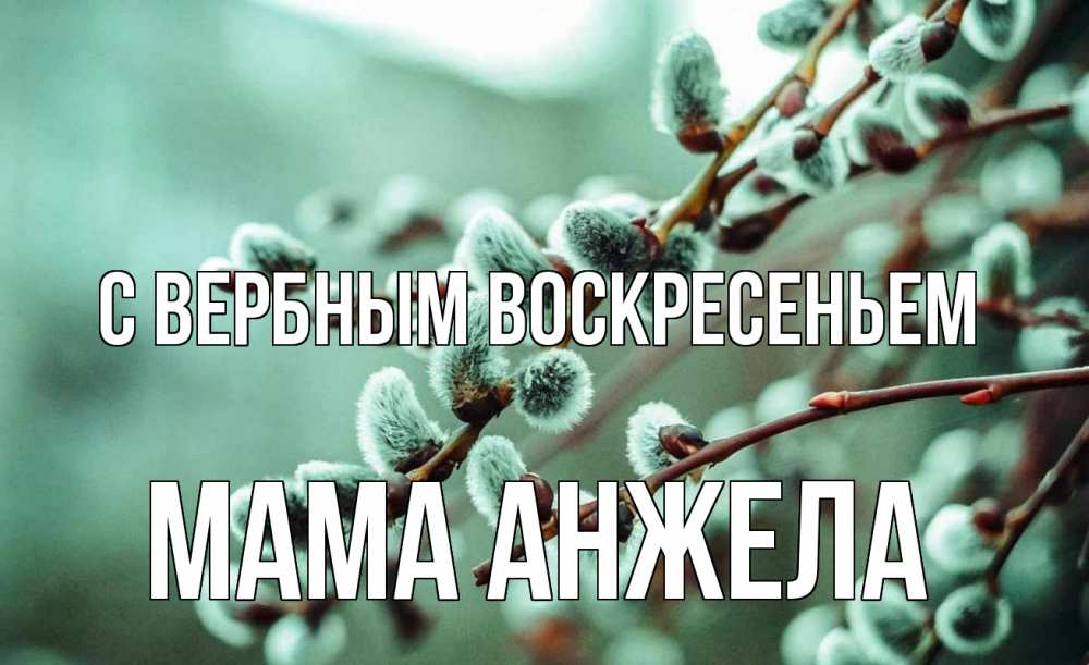 Открытка на каждый день с именем, Мама-Анжела С вербным воскресеньем верба Прикольная открытка с пожеланием онлайн скачать бесплатно 