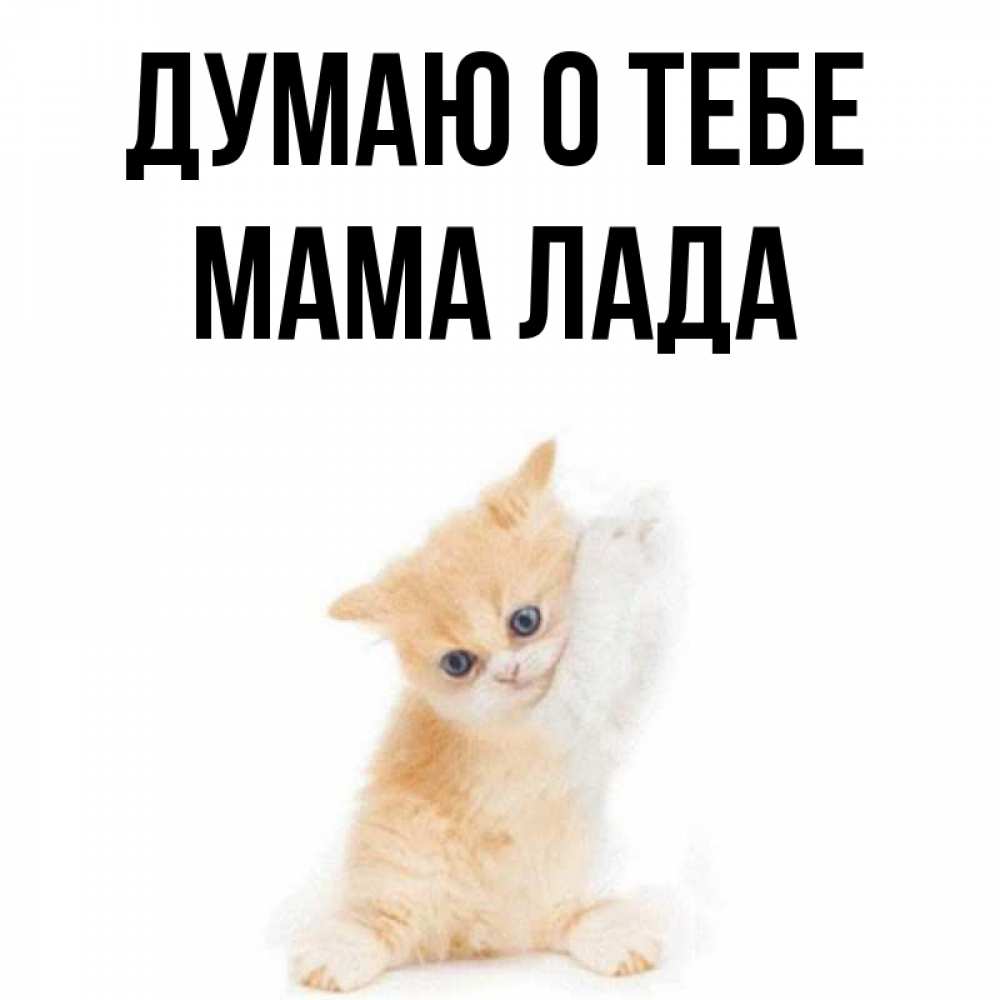 Открытка на каждый день с именем, Мама-Лада Думаю о тебе зверушки и милота Прикольная открытка с пожеланием онлайн скачать бесплатно 
