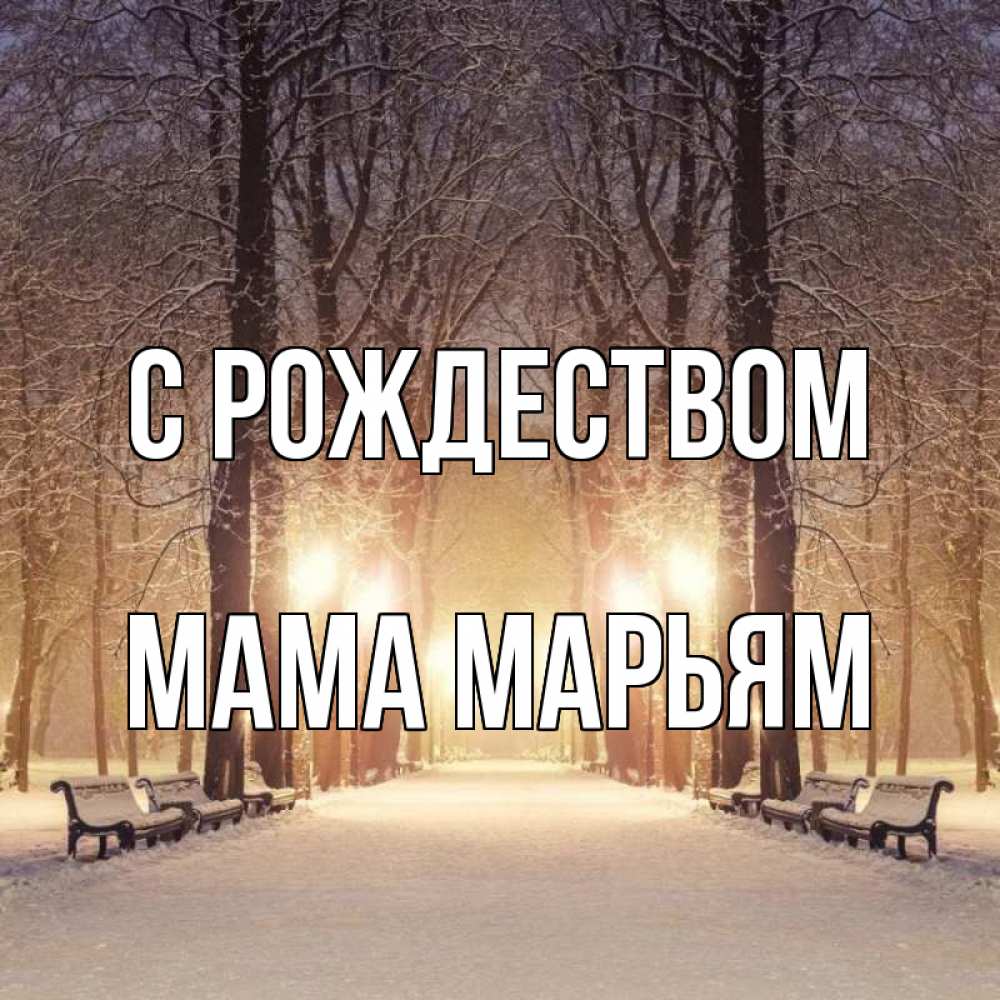 Открытка на каждый день с именем, Мама-Марьям С рождеством зима, парк, фонарь, лес Прикольная открытка с пожеланием онлайн скачать бесплатно 