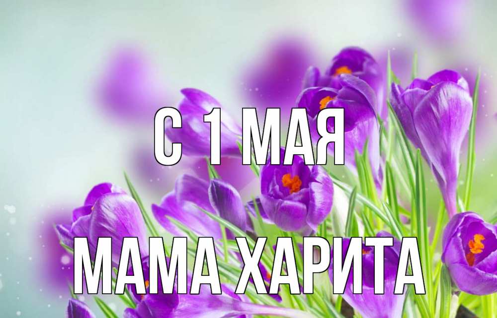 Открытка на каждый день с именем, Мама-Харита С 1 мая 1 мая Прикольная открытка с пожеланием онлайн скачать бесплатно 