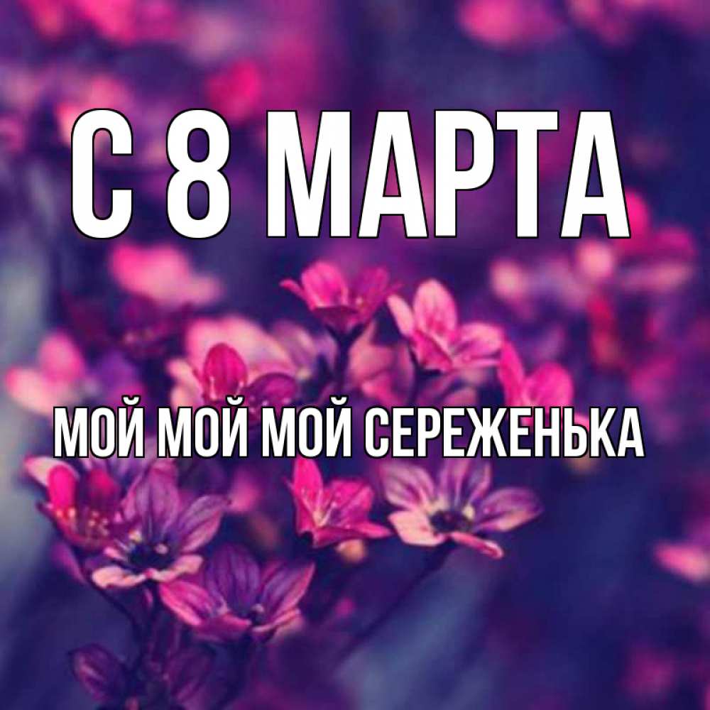 Открытка на каждый день с именем, Мой-мой-мой-Сереженька С 8 МАРТА небольшие цветы 1 Прикольная открытка с пожеланием онлайн скачать бесплатно 