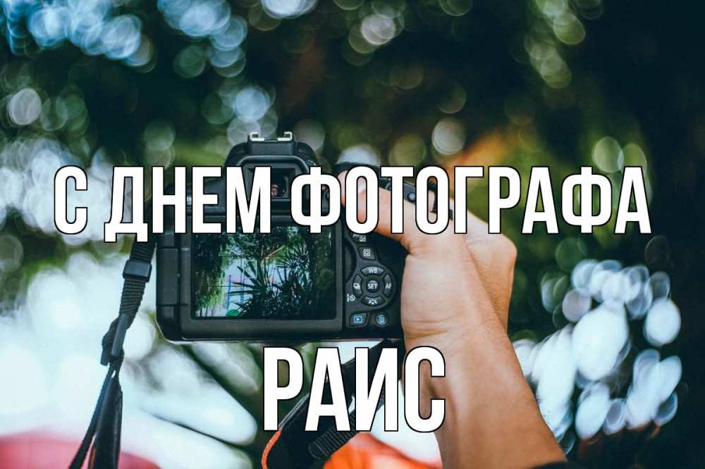 Открытка на каждый день с именем, Раис С днем фотографа с днем фотографа Прикольная открытка с пожеланием онлайн скачать бесплатно 