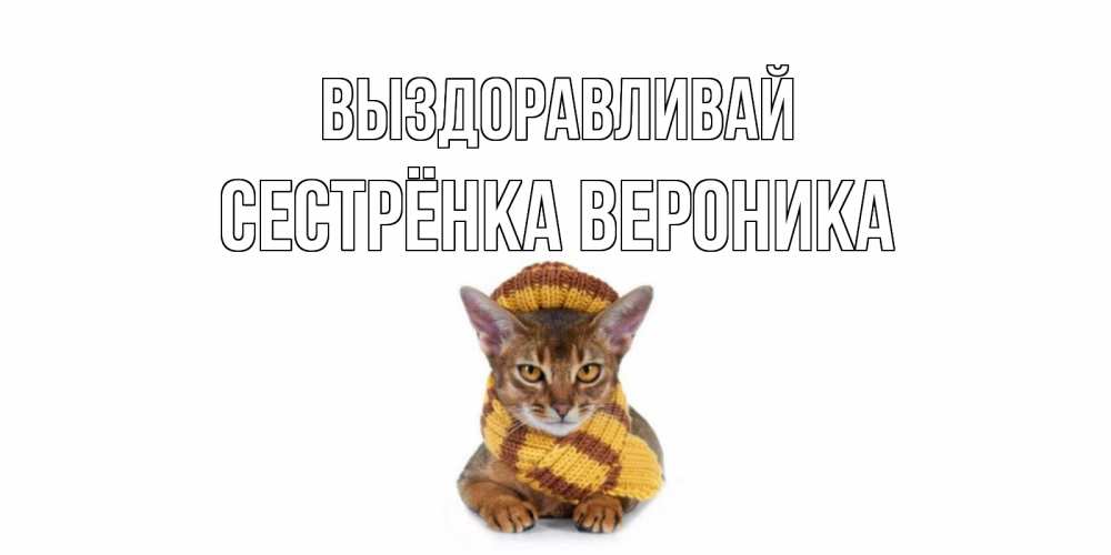 Открытка на каждый день с именем, Сестрёнка-Вероника Выздоравливай родные не болейте Прикольная открытка с пожеланием онлайн скачать бесплатно 