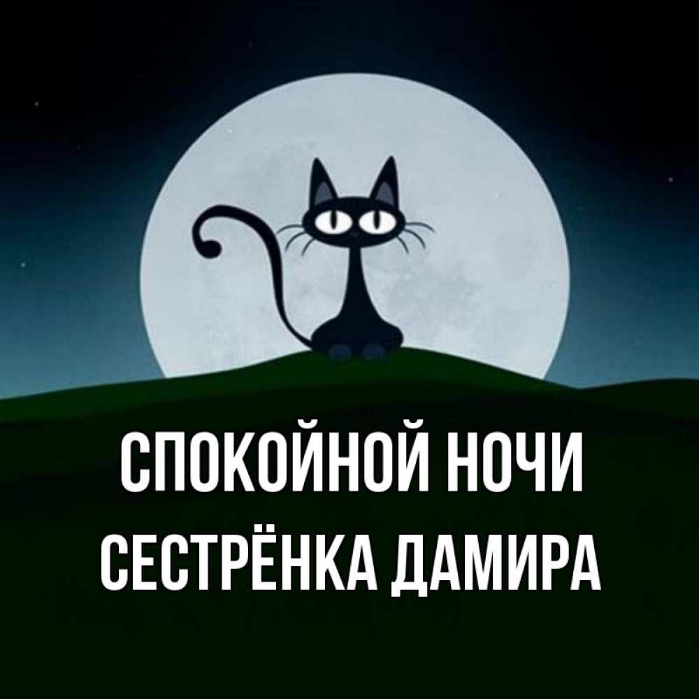 Открытка на каждый день с именем, Сестрёнка-Дамира Спокойной ночи хорошо выспаться ночью и без кошмаров Прикольная открытка с пожеланием онлайн скачать бесплатно 