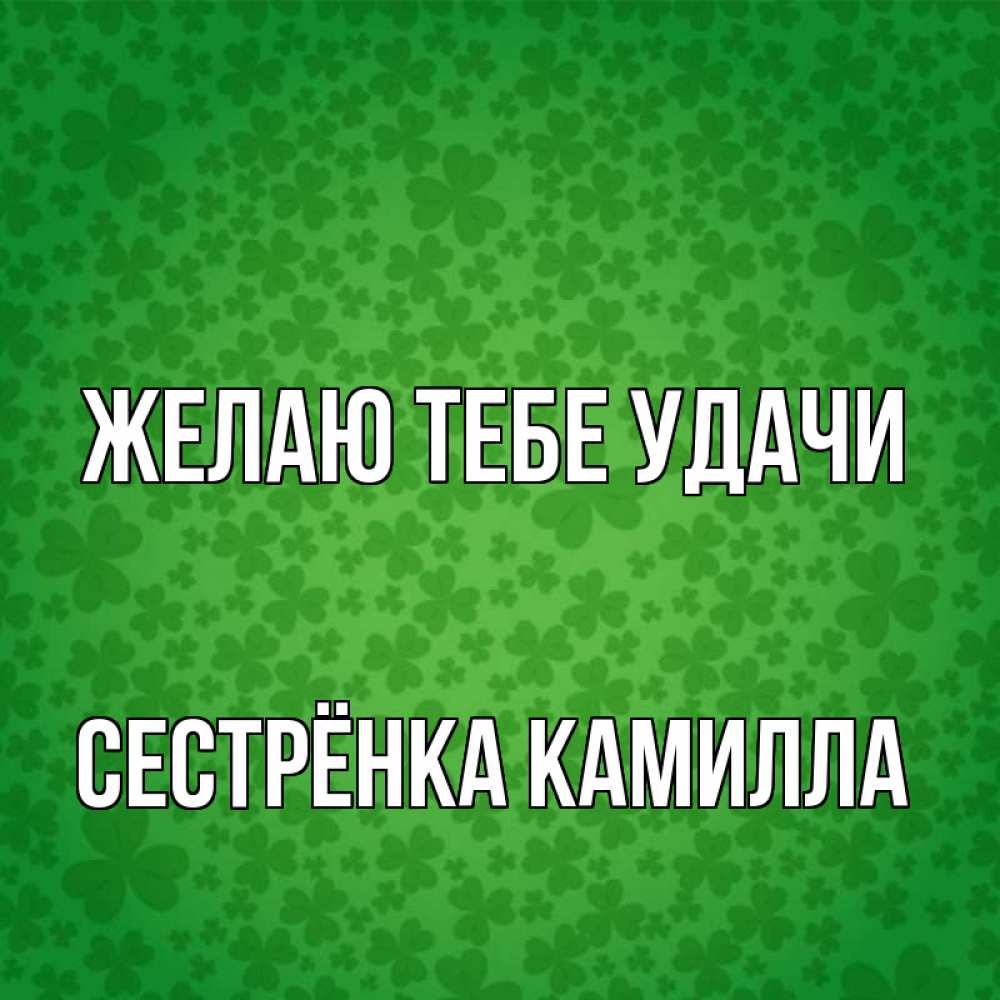 Открытка на каждый день с именем, Сестрёнка-Камилла Желаю тебе удачи много листочков на удачу Прикольная открытка с пожеланием онлайн скачать бесплатно 
