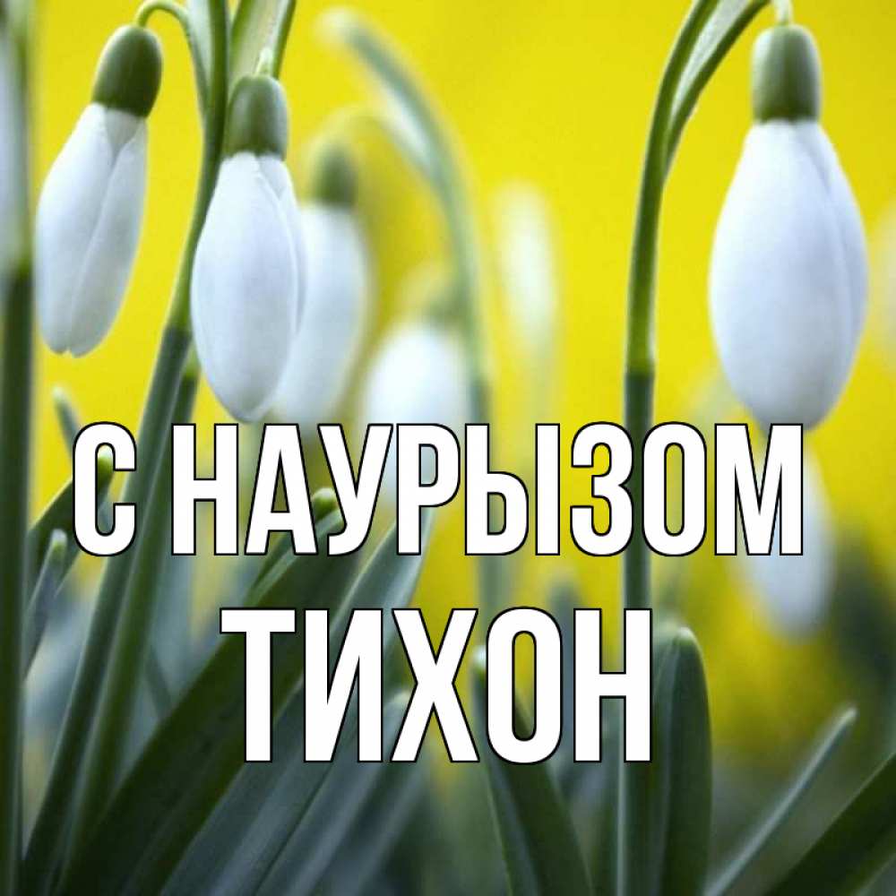 Открытка на каждый день с именем, Тихон С наурызом весенние цветы Прикольная открытка с пожеланием онлайн скачать бесплатно 