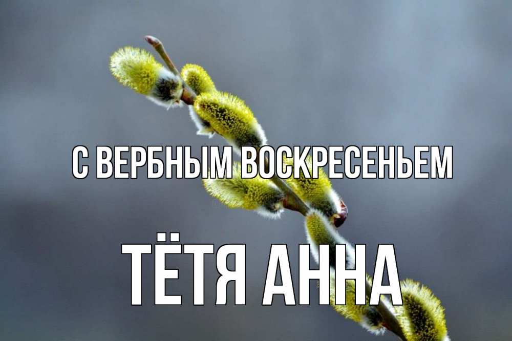 Открытка на каждый день с именем, Тётя-Анна С вербным воскресеньем верба Прикольная открытка с пожеланием онлайн скачать бесплатно 