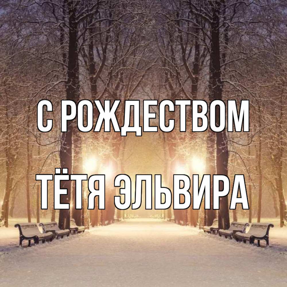 Открытка на каждый день с именем, Тётя-Эльвира С рождеством зима, парк, фонарь, лес Прикольная открытка с пожеланием онлайн скачать бесплатно 