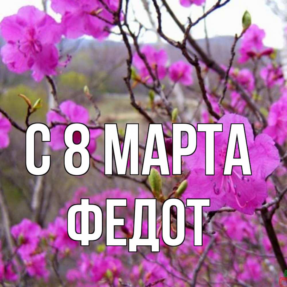 Открытка на каждый день с именем, Федот С 8 МАРТА международный женский день Прикольная открытка с пожеланием онлайн скачать бесплатно 