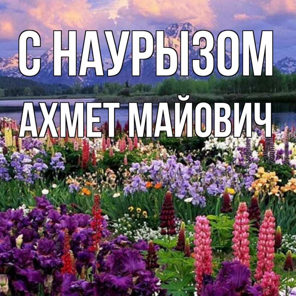 Открытка с именем, Ахмет Майович, С наурызом
