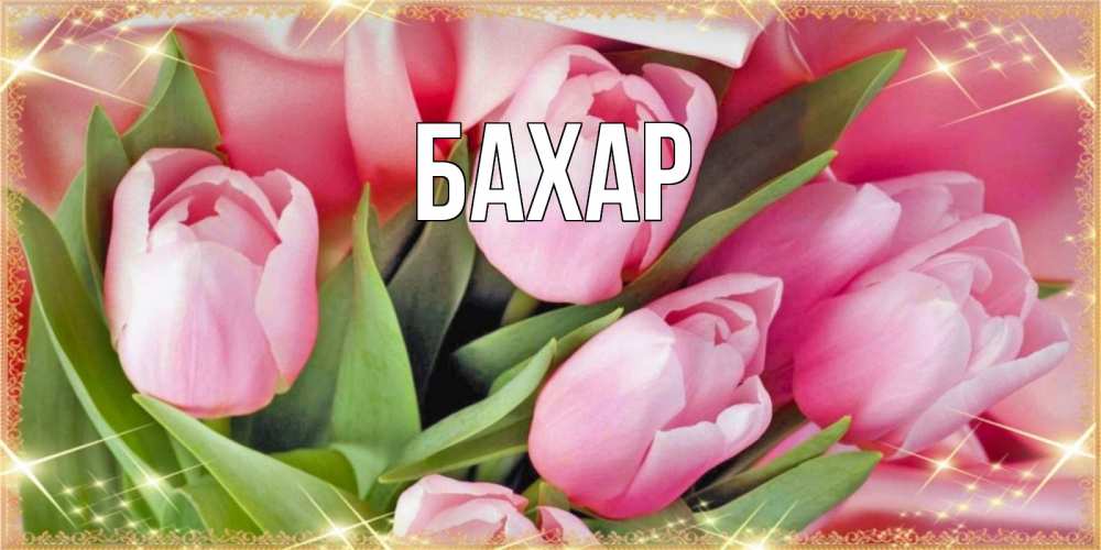 Открытка на каждый день с именем, Бахар Главная красивые открытки на наурыз для милых дам Прикольная открытка с пожеланием онлайн скачать бесплатно 