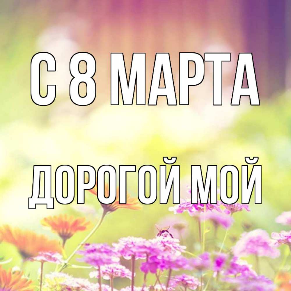 Открытка на каждый день с именем, Дорогой-мой С 8 МАРТА цветы весна Прикольная открытка с пожеланием онлайн скачать бесплатно 