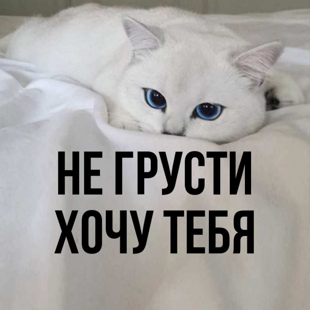 Картинка Не грусти, Хочу тебя