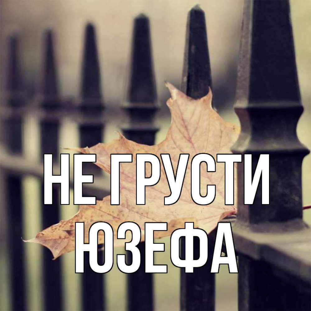 Открытка на каждый день с именем, Юзефа Не грусти лист клена Прикольная открытка с пожеланием онлайн скачать бесплатно 