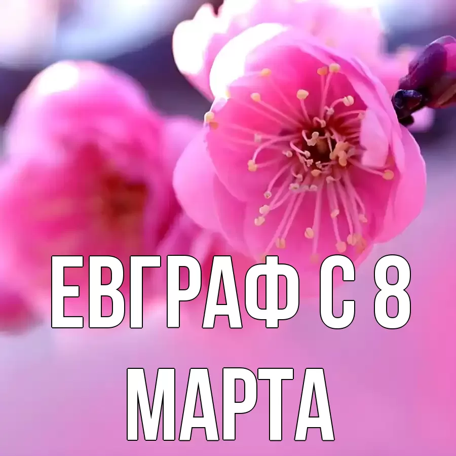 Открытка на каждый день с именем, Евграф С 8 марта международный женский день Прикольная открытка с пожеланием онлайн скачать бесплатно 