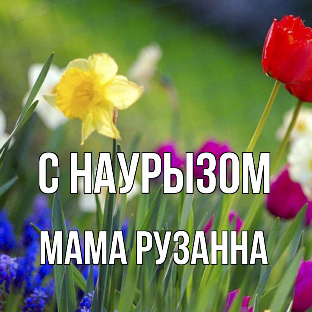 Открытка на каждый день с именем, Мама-Рузанна С наурызом праздник весны наурыз 3 Прикольная открытка с пожеланием онлайн скачать бесплатно 