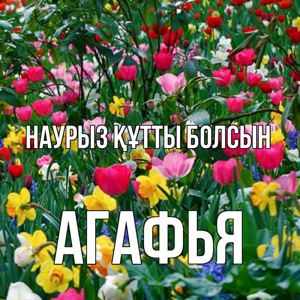 Открытка на каждый день с именем, Агафья Наурыз құтты болсын с наурызом поздравления для женщины Прикольная открытка с пожеланием онлайн скачать бесплатно 