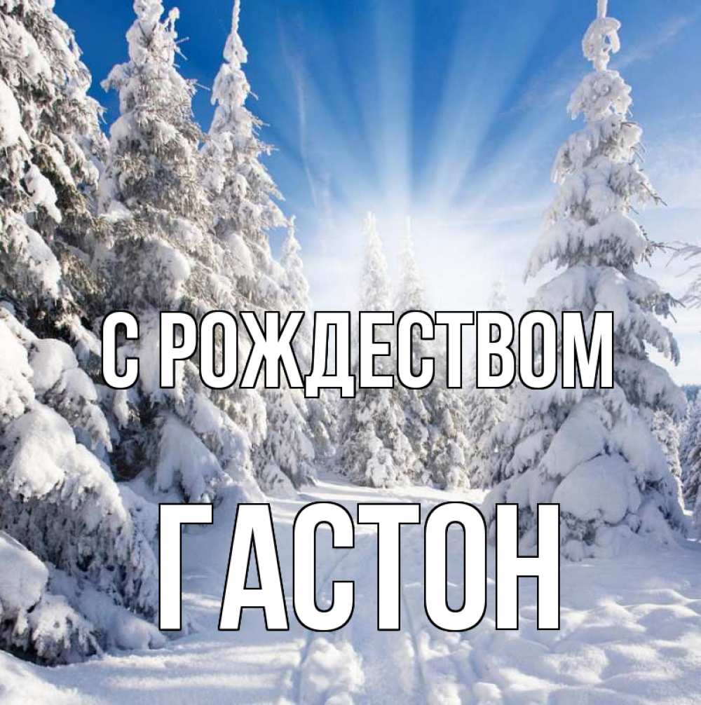 Открытка на каждый день с именем, Гастон С рождеством зима, лес Прикольная открытка с пожеланием онлайн скачать бесплатно 