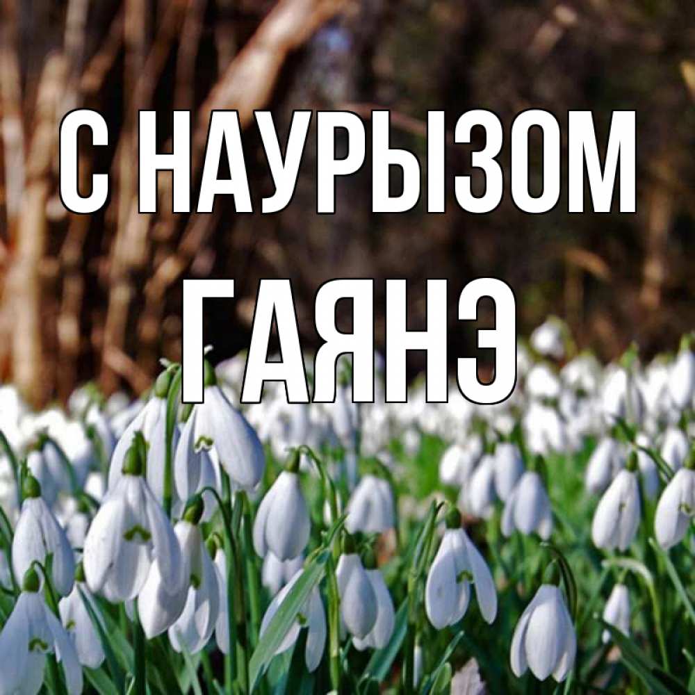 Открытка на каждый день с именем, Гаянэ С наурызом с подснежниками 1 Прикольная открытка с пожеланием онлайн скачать бесплатно 