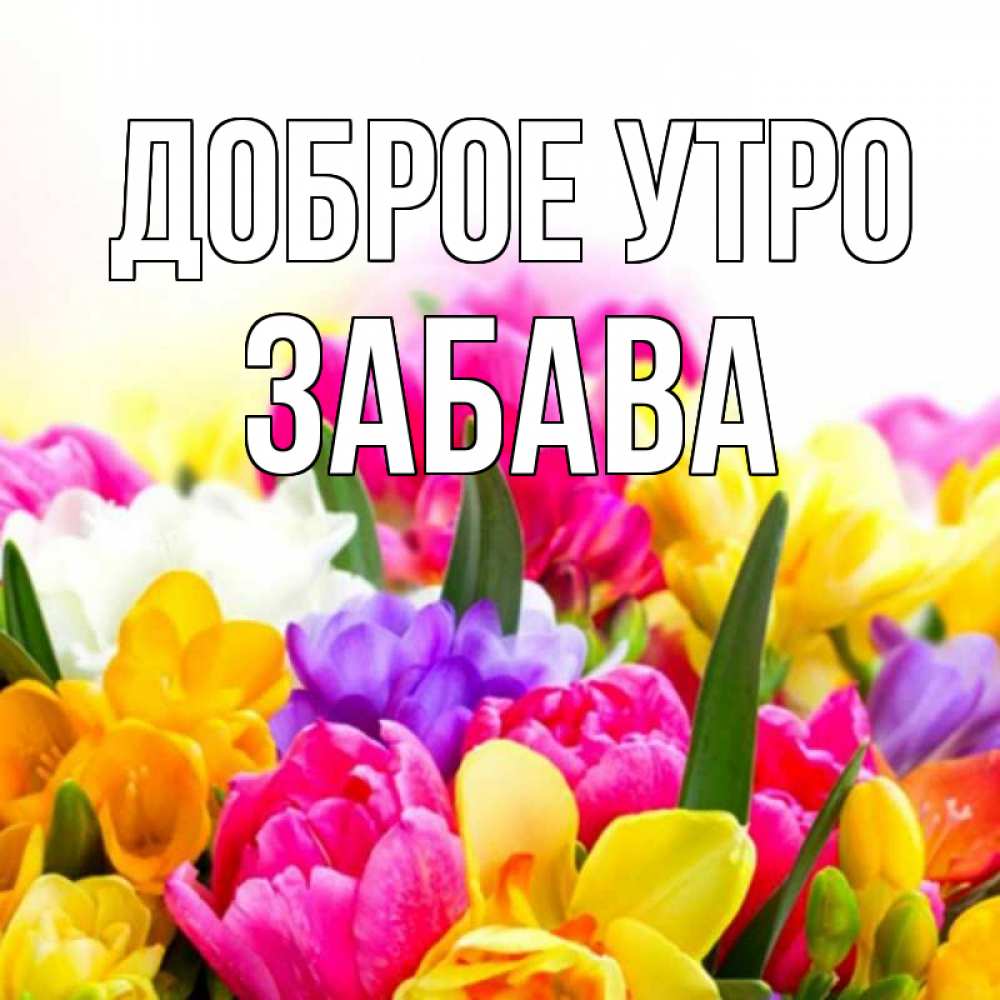 Открытка на каждый день с именем, Забава Доброе утро создать открытку со свое подписью Прикольная открытка с пожеланием онлайн скачать бесплатно 