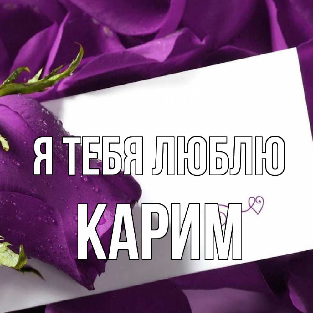 Открытка на каждый день с именем, Карим Я тебя люблю роза Прикольная открытка с пожеланием онлайн скачать бесплатно 
