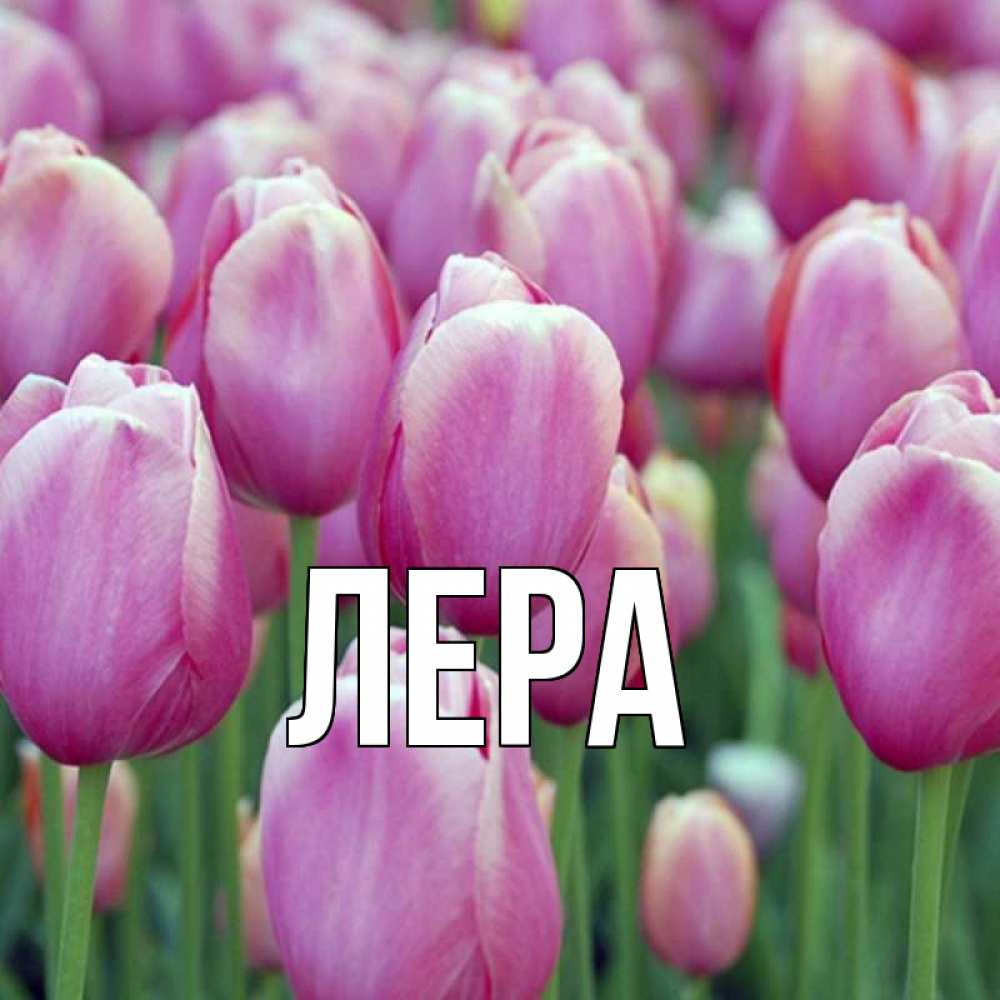 Открытка на каждый день с именем, Лера Главная на международный женский день 3 Прикольная открытка с пожеланием онлайн скачать бесплатно 