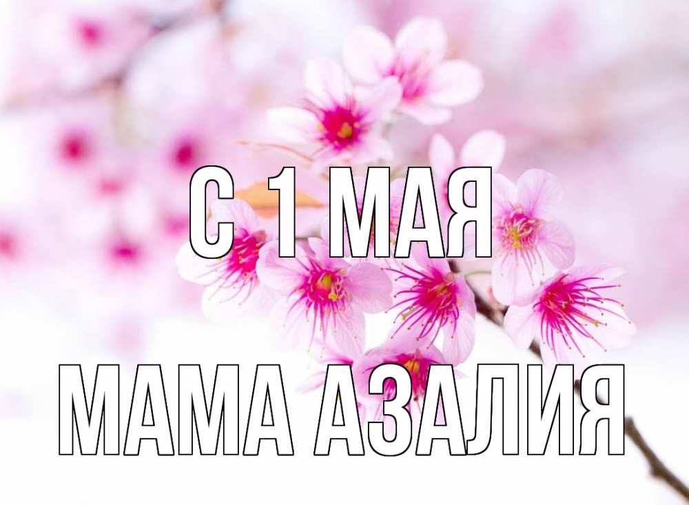 Открытка на каждый день с именем, Мама-Азалия С 1 мая С 1 мая 2 Прикольная открытка с пожеланием онлайн скачать бесплатно 
