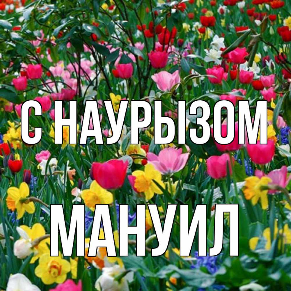 Открытка на каждый день с именем, Мануил С наурызом с наурызом праздником весны поздравления для женщины Прикольная открытка с пожеланием онлайн скачать бесплатно 