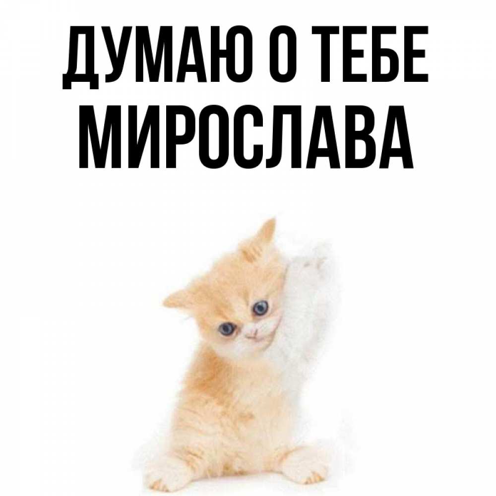 Открытка на каждый день с именем, Мирослава Думаю о тебе зверушки и милота Прикольная открытка с пожеланием онлайн скачать бесплатно 